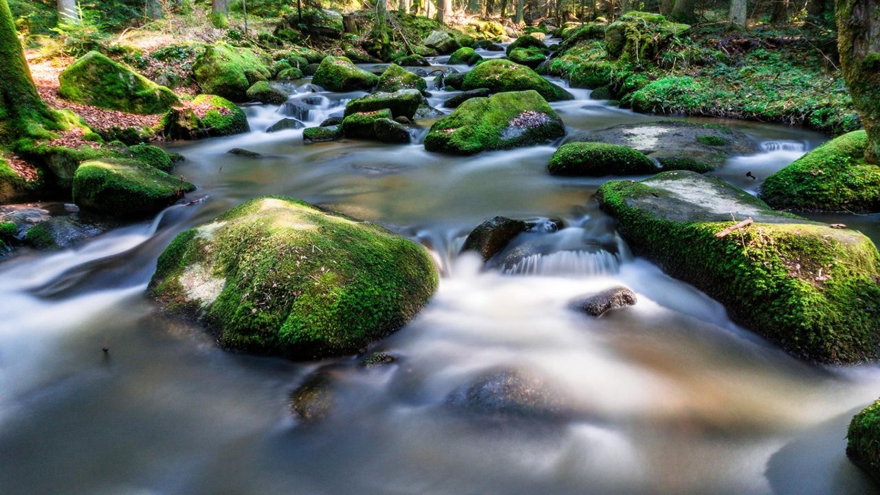 Natur- Wohlfühlhotel Brunner Hof OHG Natur- Wohlfühlhotel Brunner Hof OHG